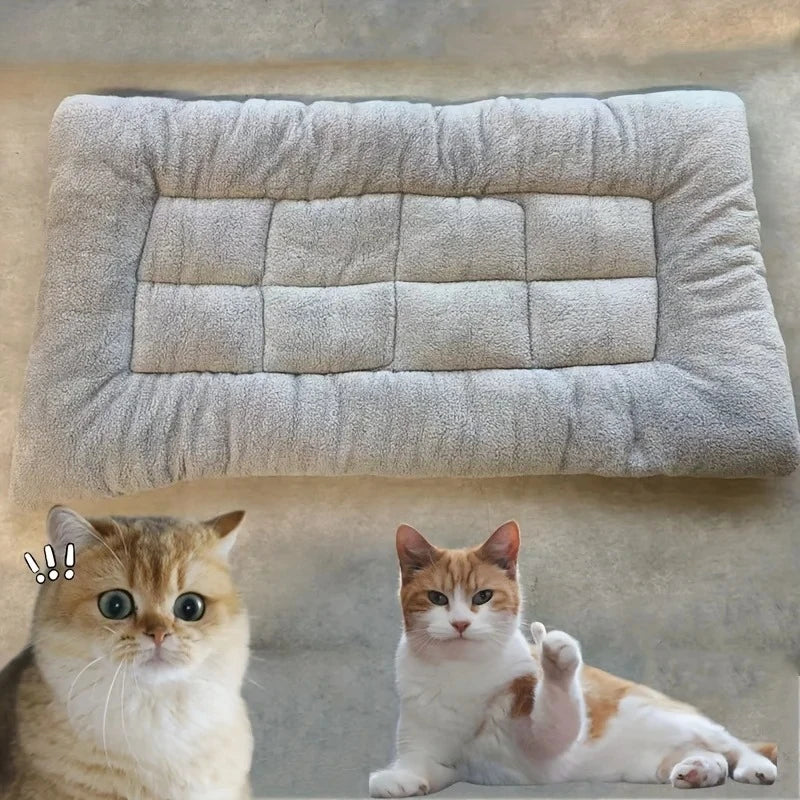 Thickened Super Soft Plush Dog Bed Sofa & Crate Mat – Fluffy Pet Mat for Small, Medium & Large Dogs | TheAmigoPets