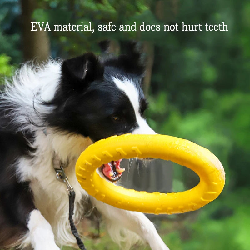 4-Piece Durable EVA Dog Toy & Fetch Set