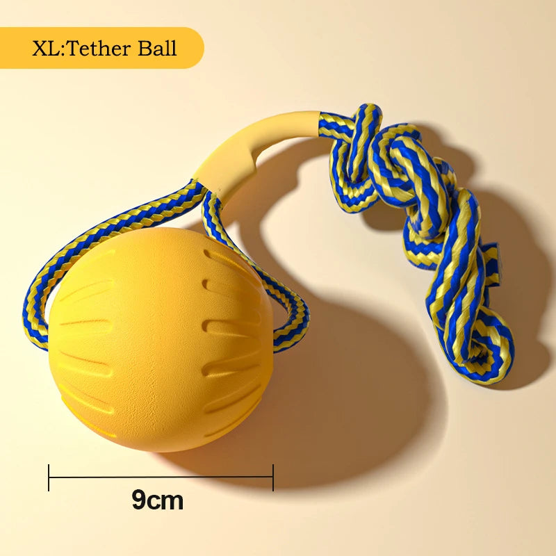 4-Piece Durable EVA Dog Toy & Fetch Set