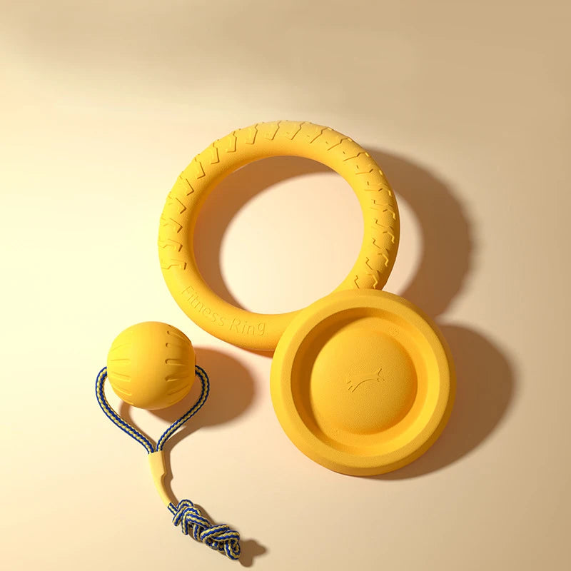 4-Piece Durable EVA Dog Toy & Fetch Set