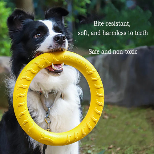 4-Piece Durable EVA Dog Toy & Fetch Set
