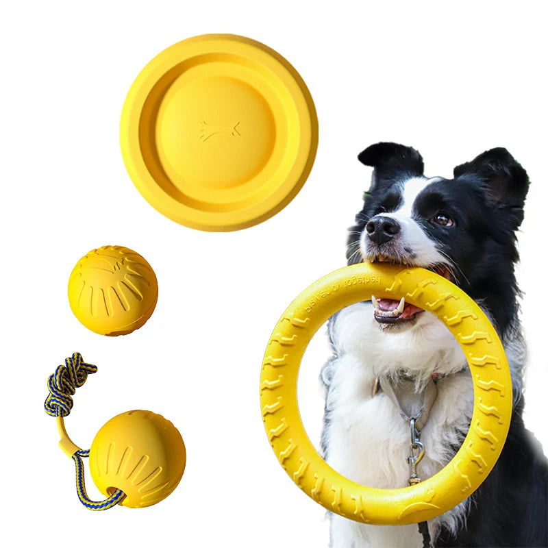 4-Piece Durable EVA Dog Toy & Fetch Set