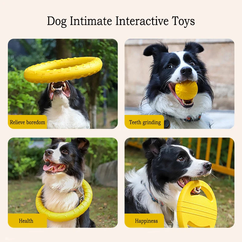 4-Piece Durable EVA Dog Toy & Fetch Set